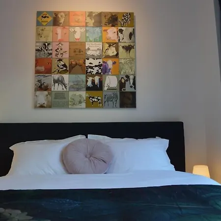 Hippe In Historisch Gebouw In Oude Centrum Appartement *